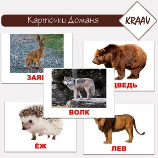 Животное доман