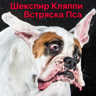 Собака с обвисшим лицом