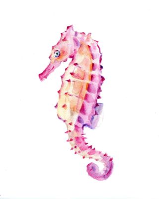 Морской конек