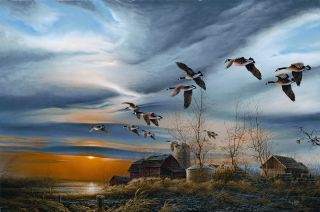 Улетающие птицы