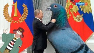 Ижевские голуби