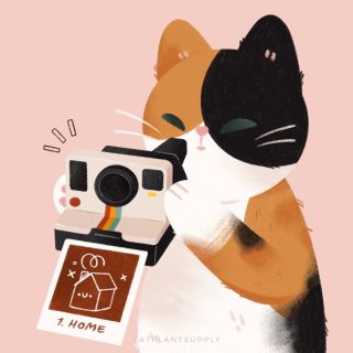 Шуппет кошка