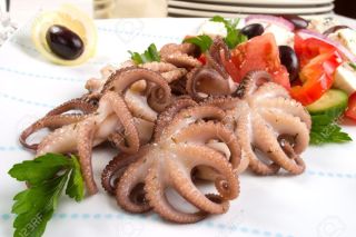 Обыкновенный кальмар