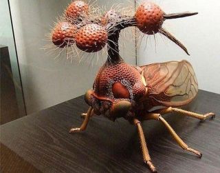 Самые противные насекомые в мире