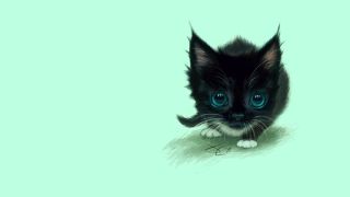 Маленький черный котик