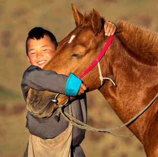 Монгольская лошадь