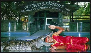 Крокодилы в тайланде