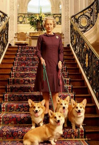 Собака английской королевы