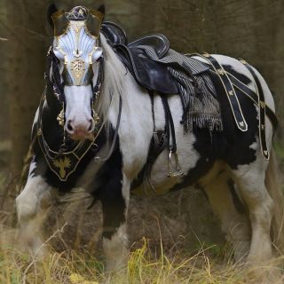 Тыгдымский конь