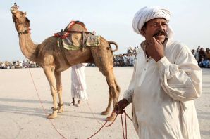 Бедуин на верблюде