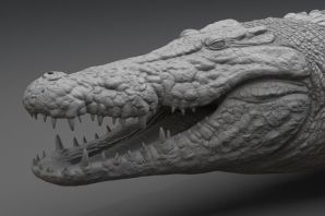 Лицо крокодила