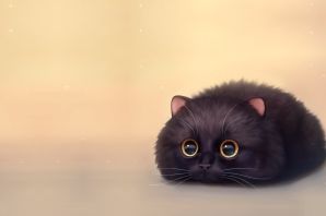 Милый черный котенок