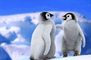 Обычный пингвин