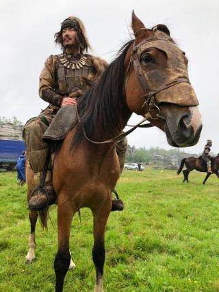 Татарская лошадь