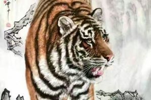 Южно китайский тигр