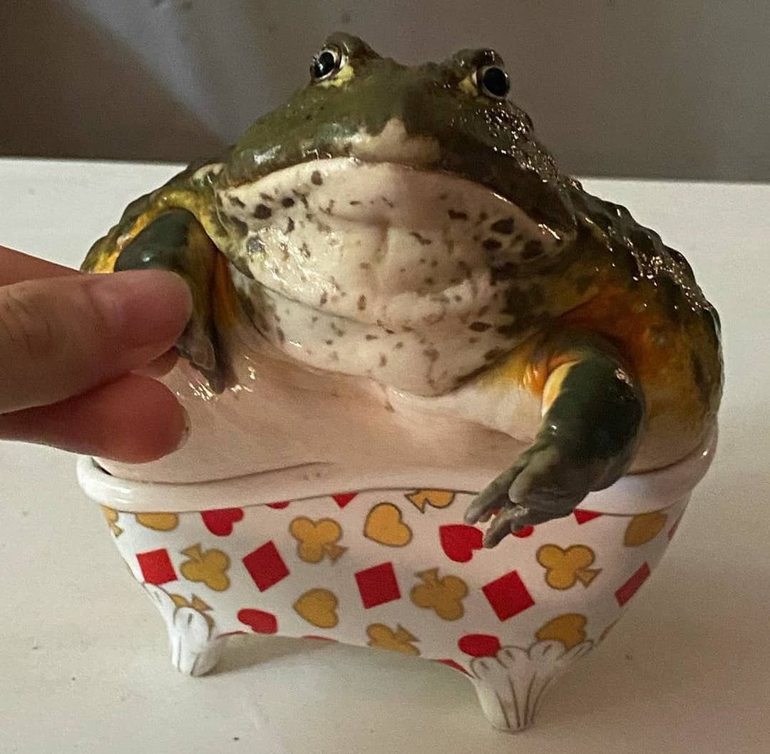 Лягушка лицо милое