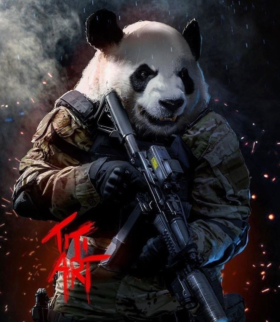 Медведь в военной форме