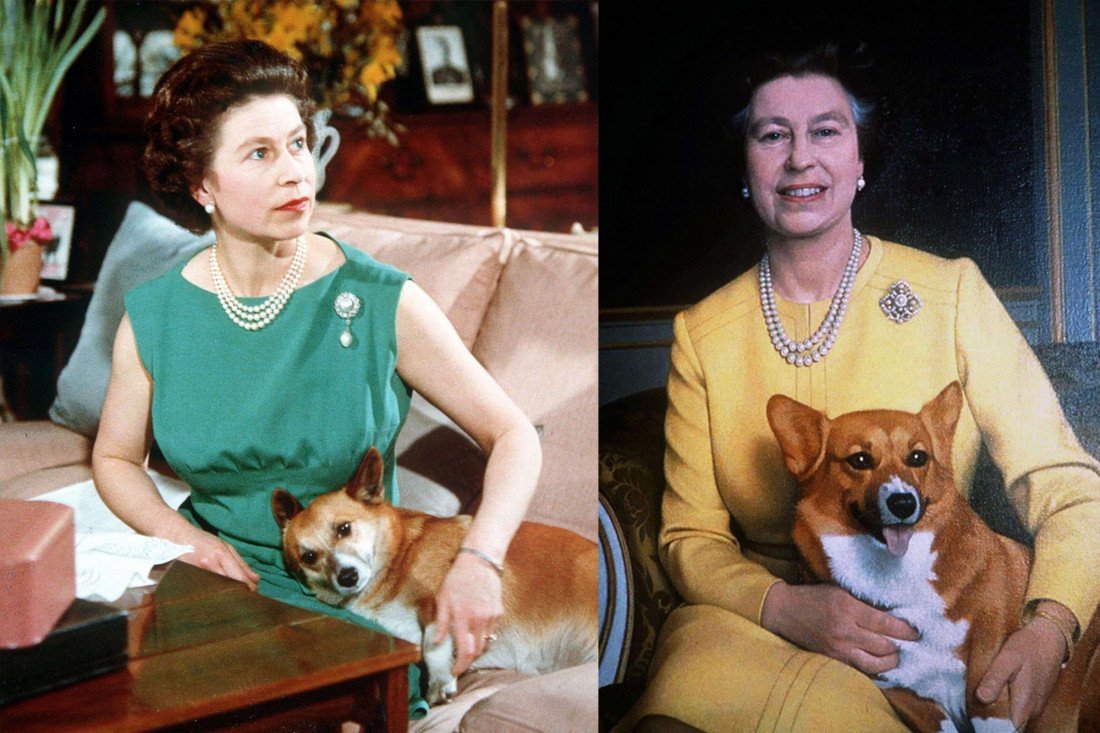 Корги королевы Елизаветы 2