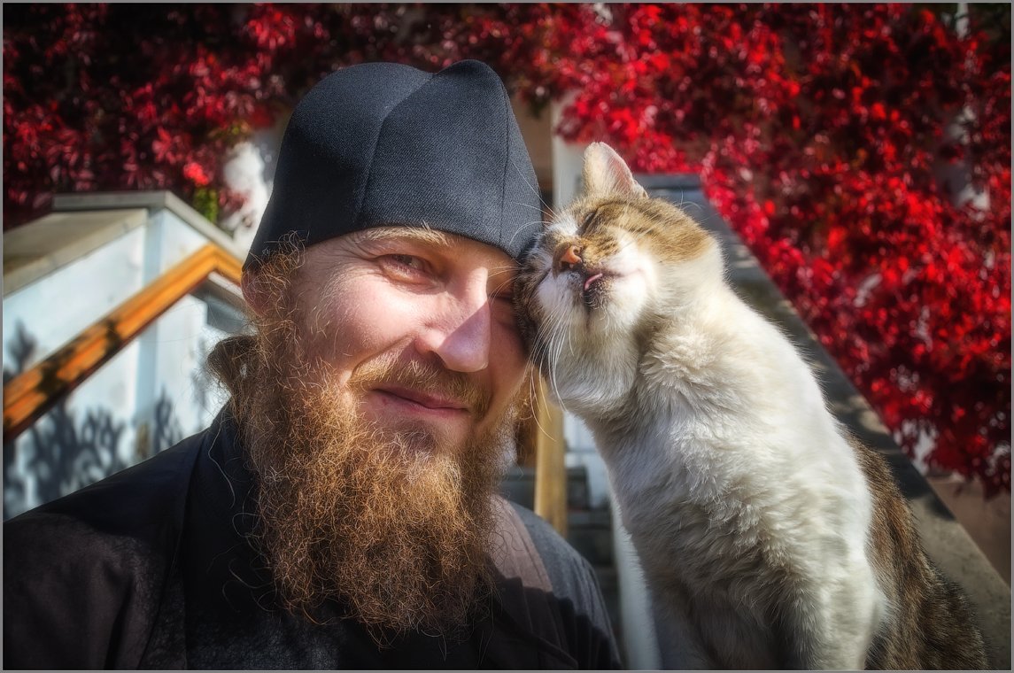 Православные монахи и кошки