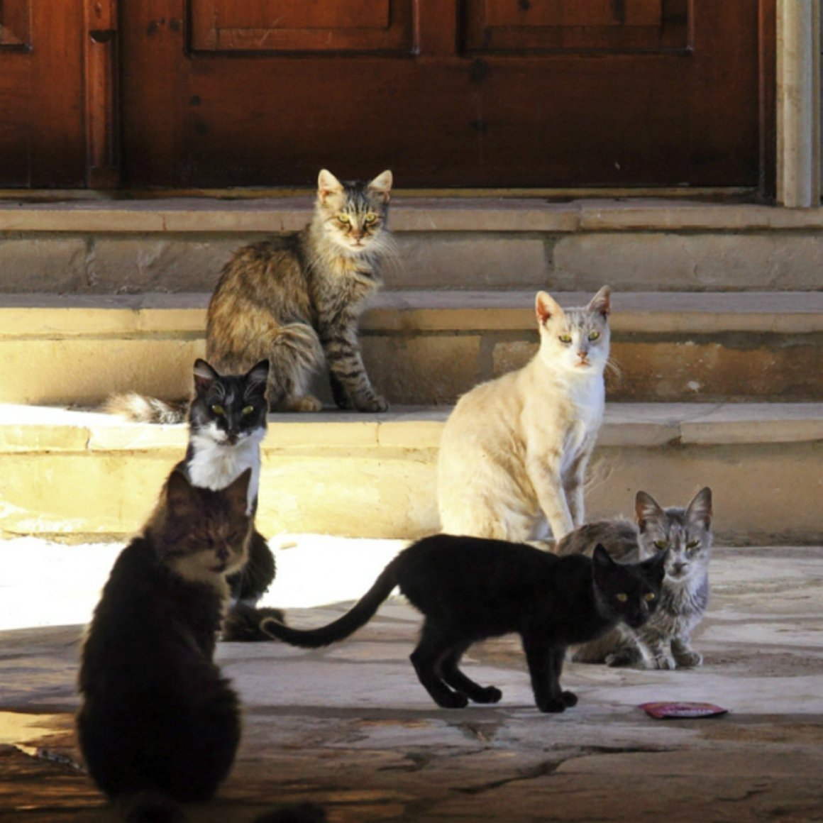 Монастырь Святого Николая кошатника на Кипре