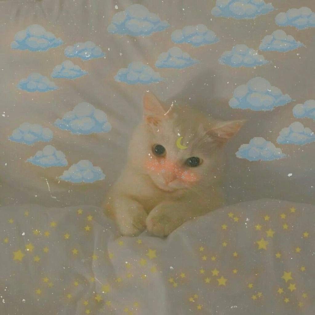 Много милых котят