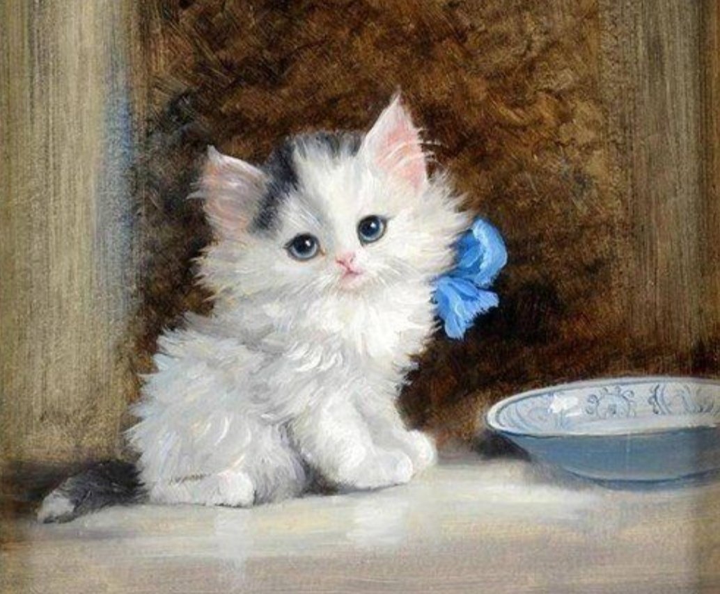 Что делать если кошка бросила котят новорожденных