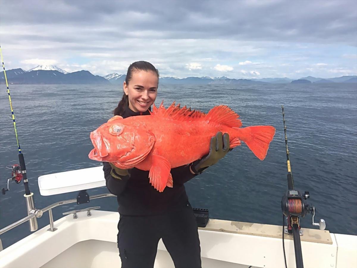 Морской окунь Камчатка