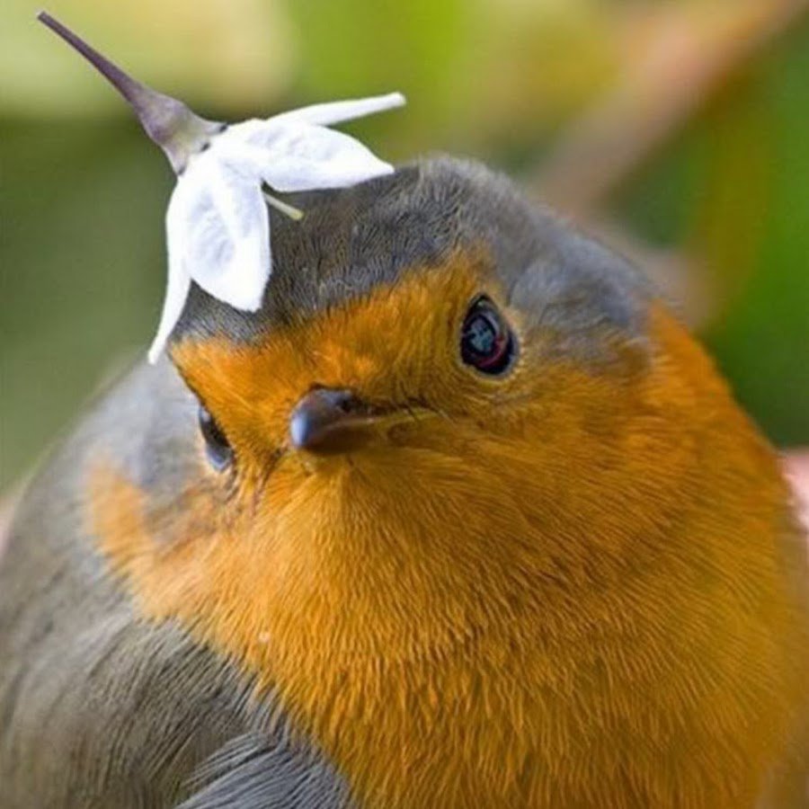 Наталья Морозова Йошкар-Ола