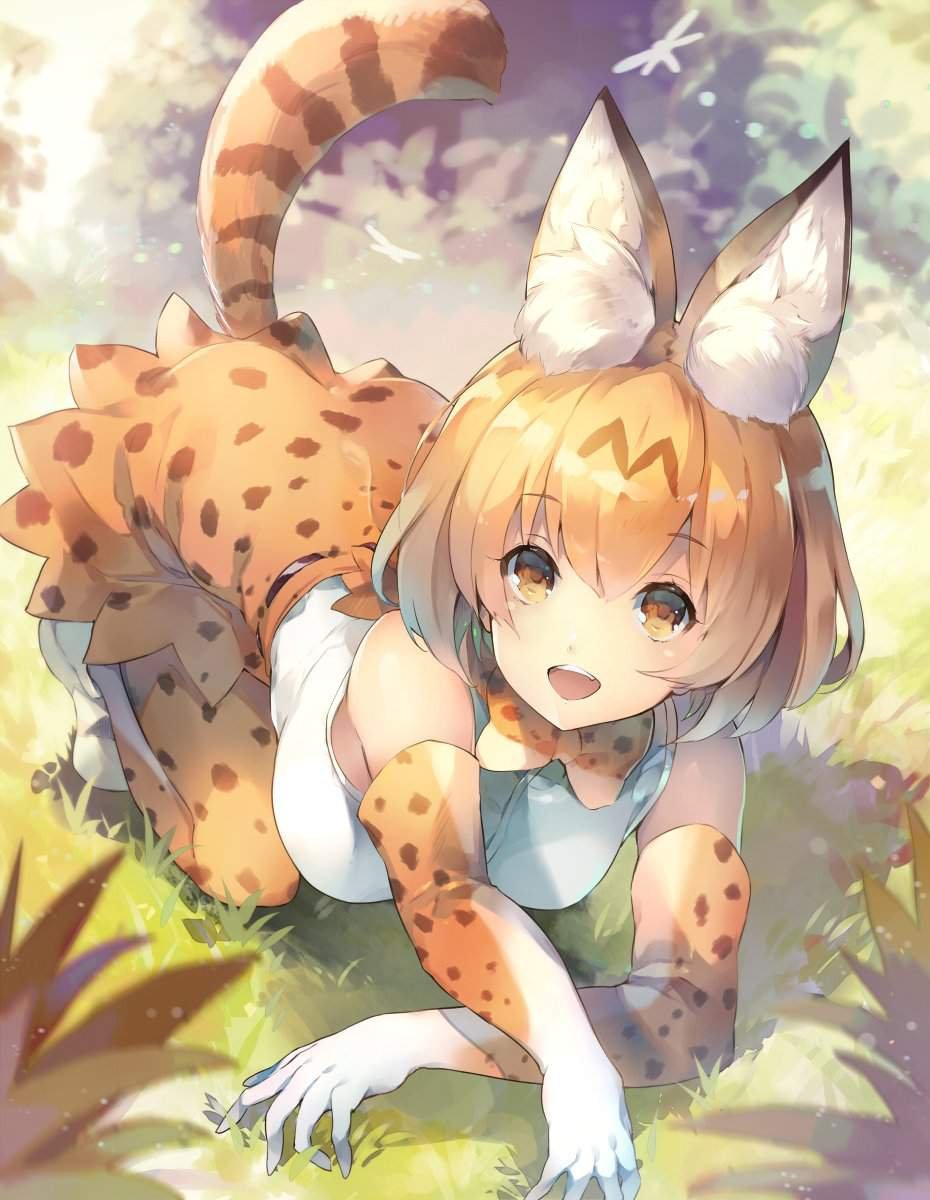 Kemono friends сервал