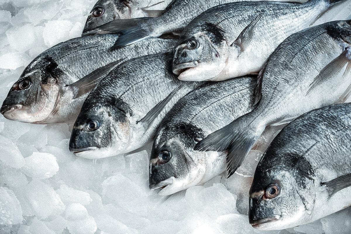 Дискусы аквариумные рыбки