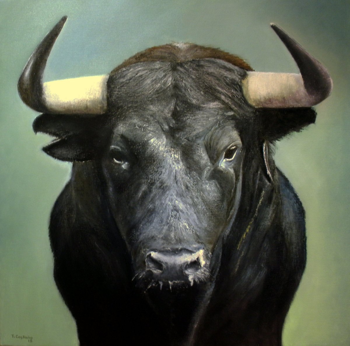 Торо Браво бык