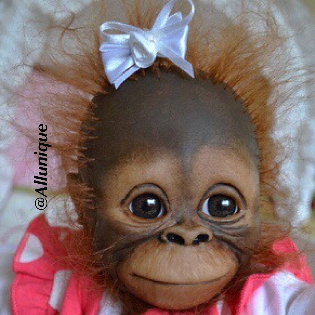 Накрашенная обезьянка