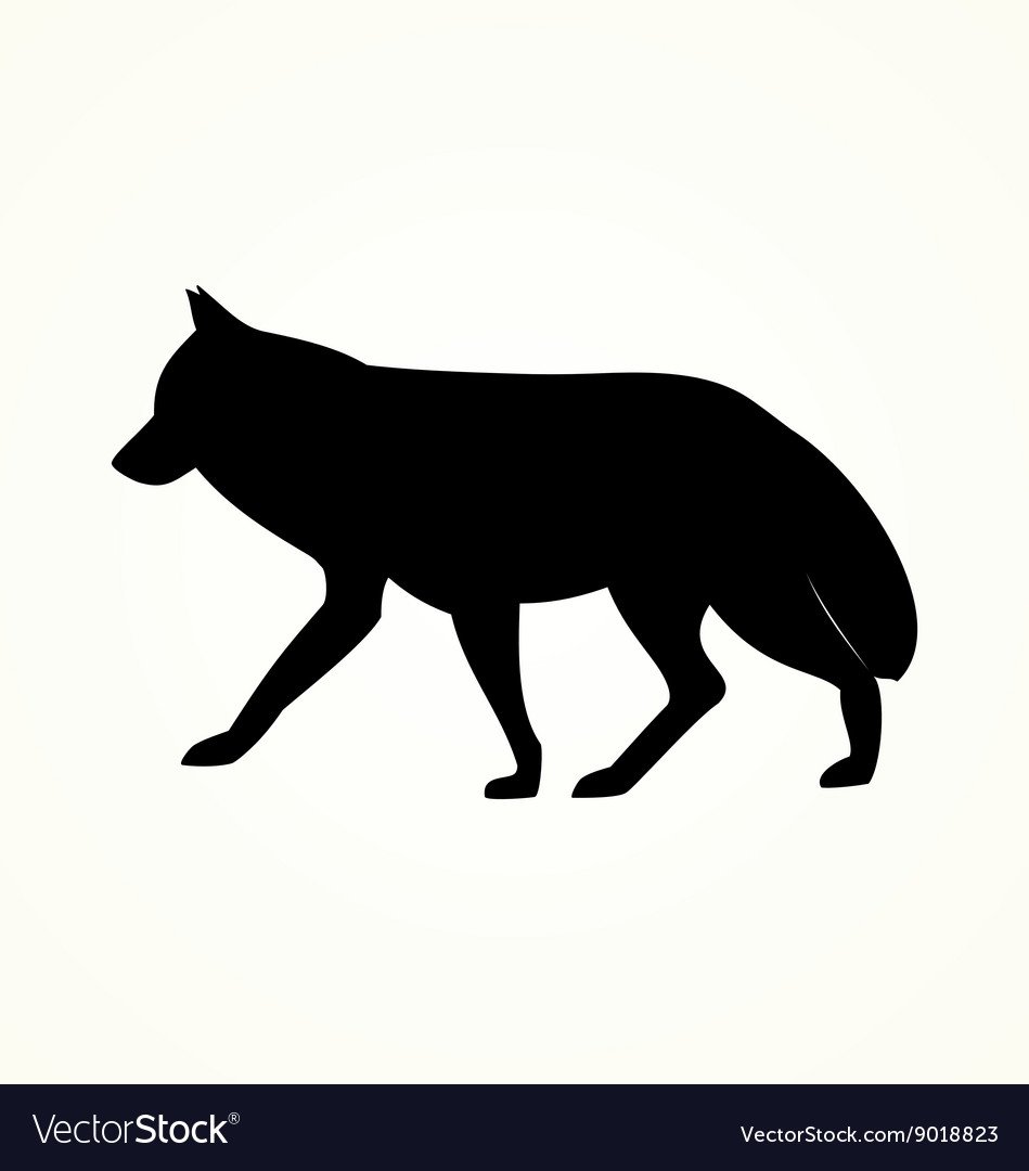 Черный силуэт Северного песца