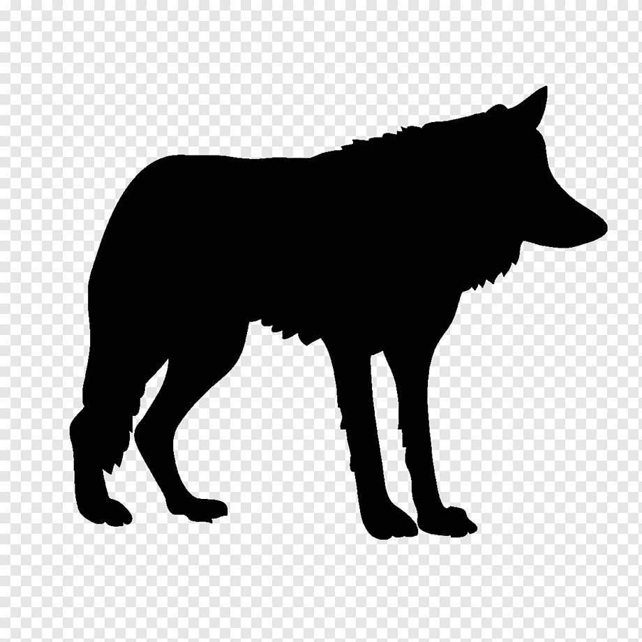 Силуэт волка