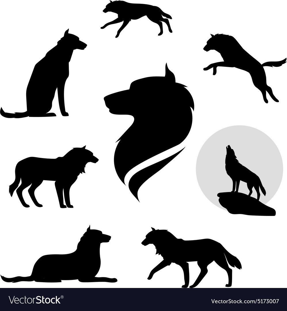 Очертание волка