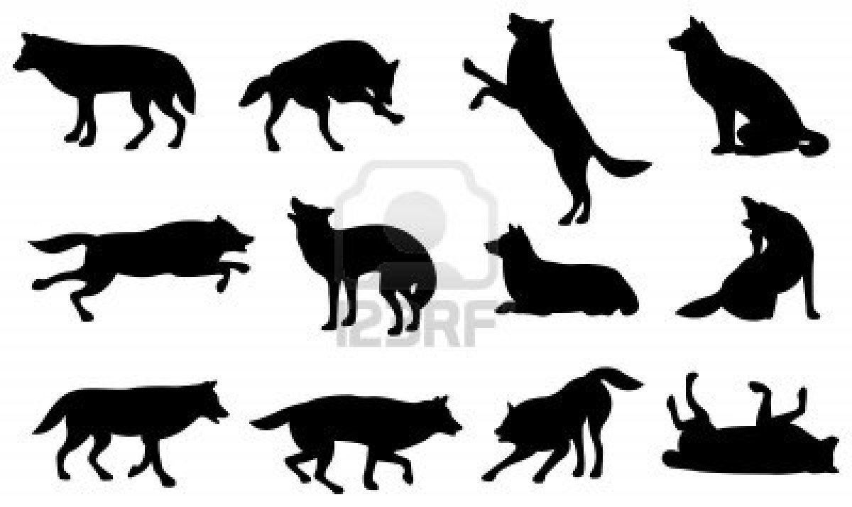 Волк силуэт разные позы