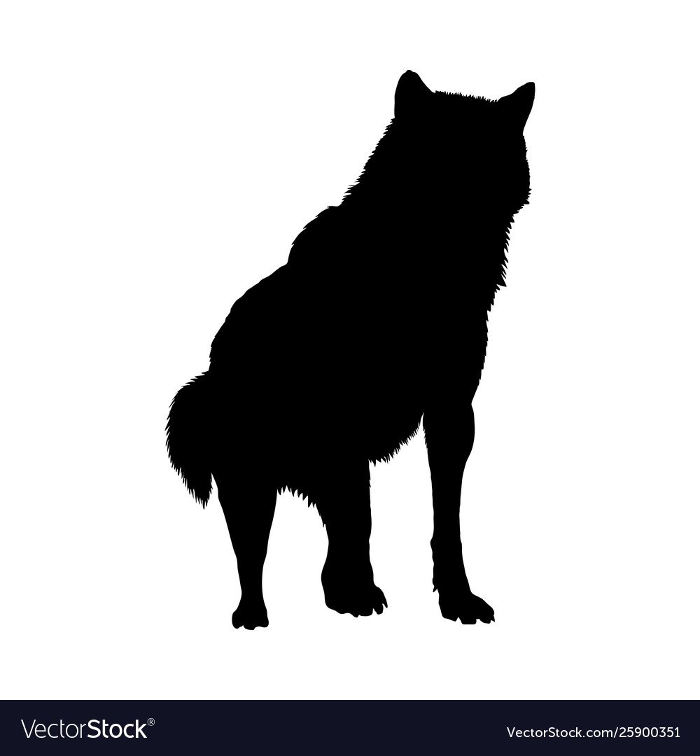 Силуэт волка сидящего