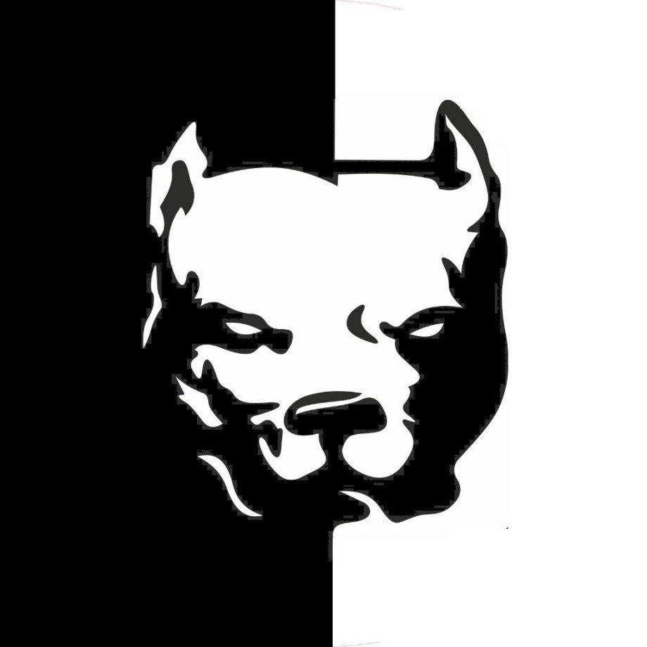 Эрик Давидыч питбуль