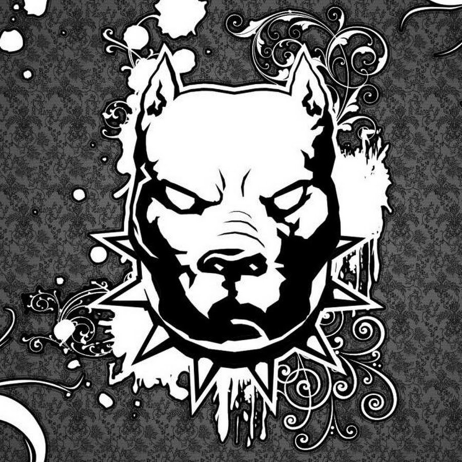 Питбуль Супергерой