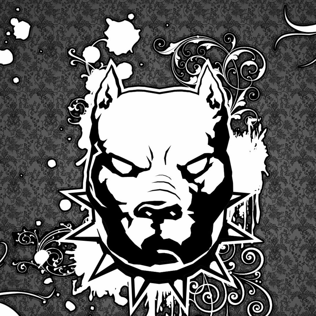 Морда питбуля на чёрно-белом фоне