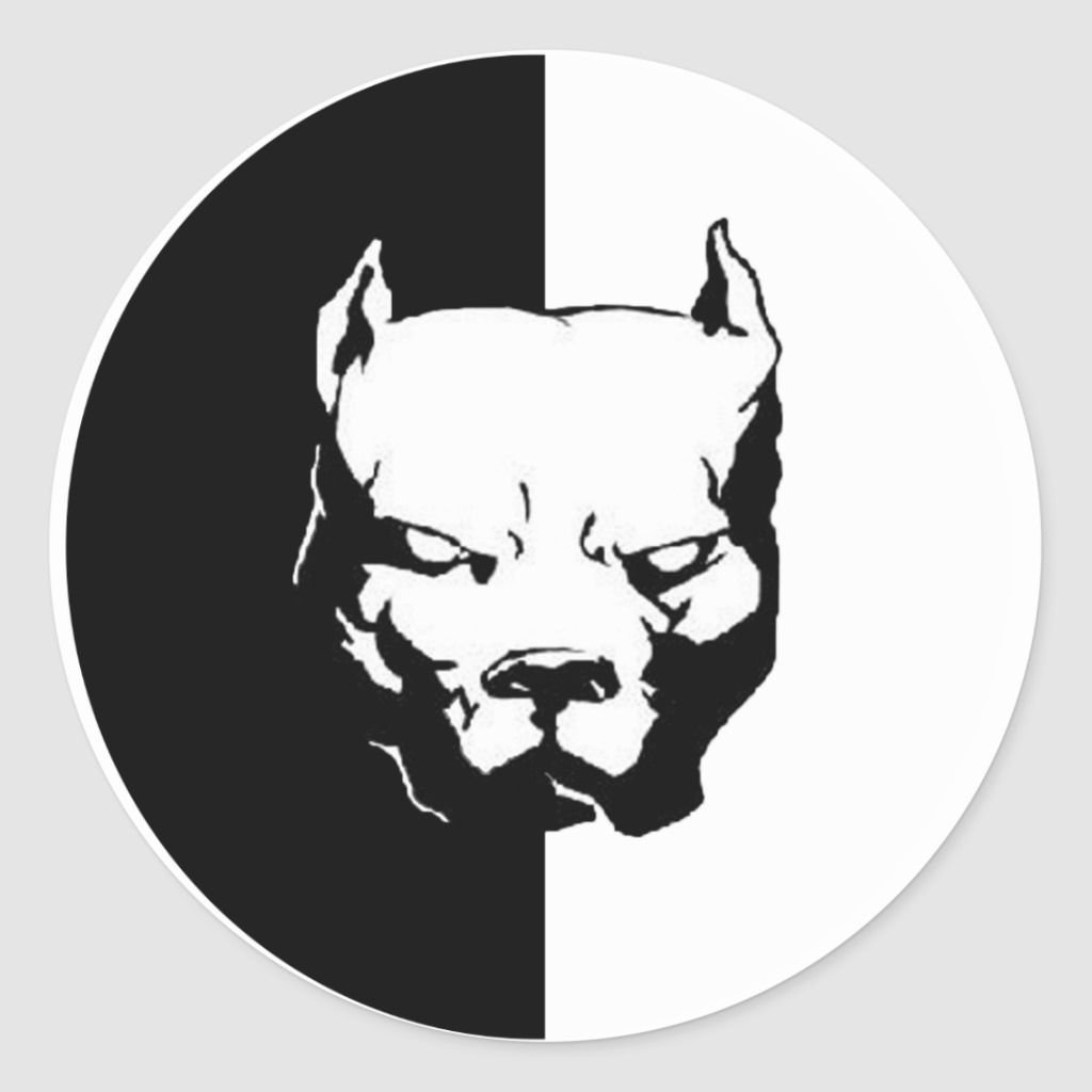 Питбуль Давидыча фото