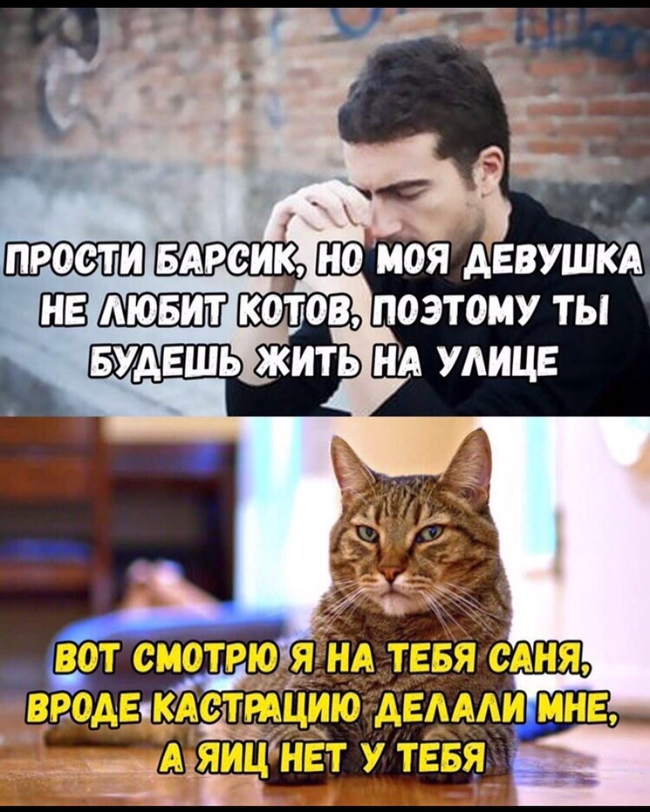 Саня прости