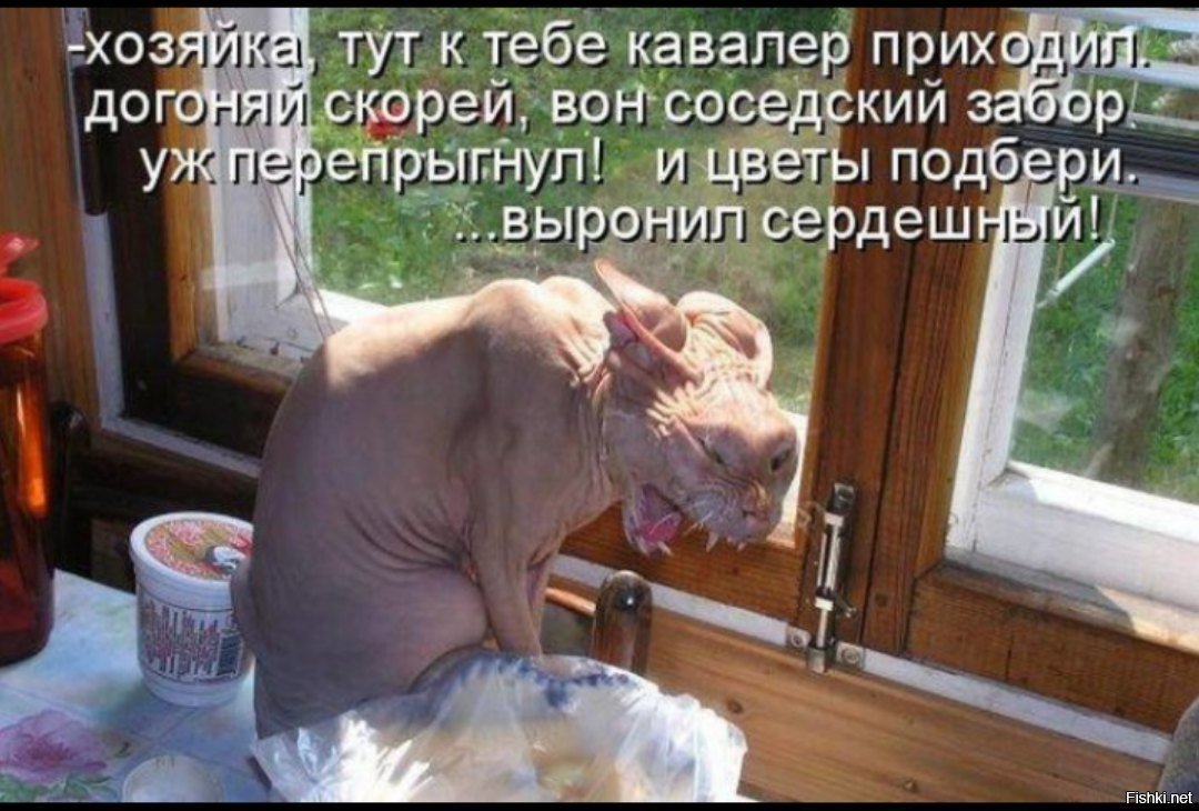 Обнимашки прикольные