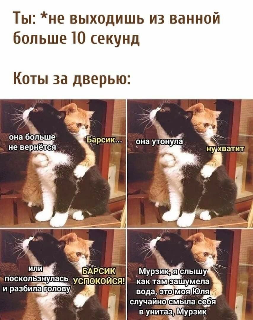 Барсик ты как Мем