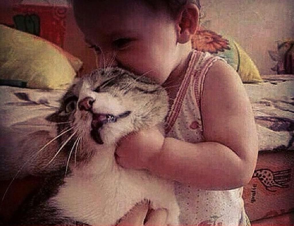 Каракал Шлепа