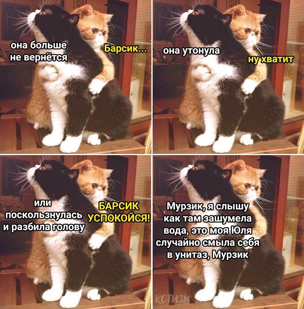 Кот Мурзик Мем