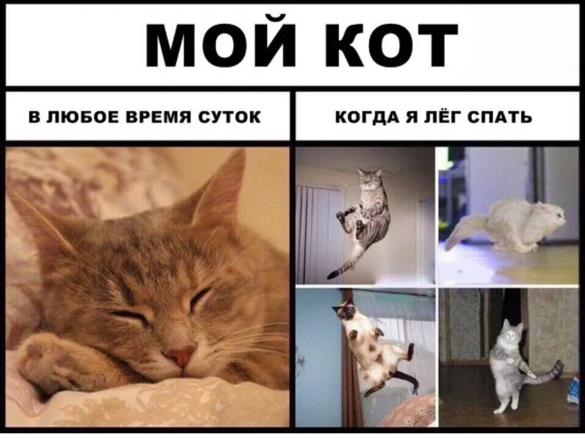 Нет смешные картинки