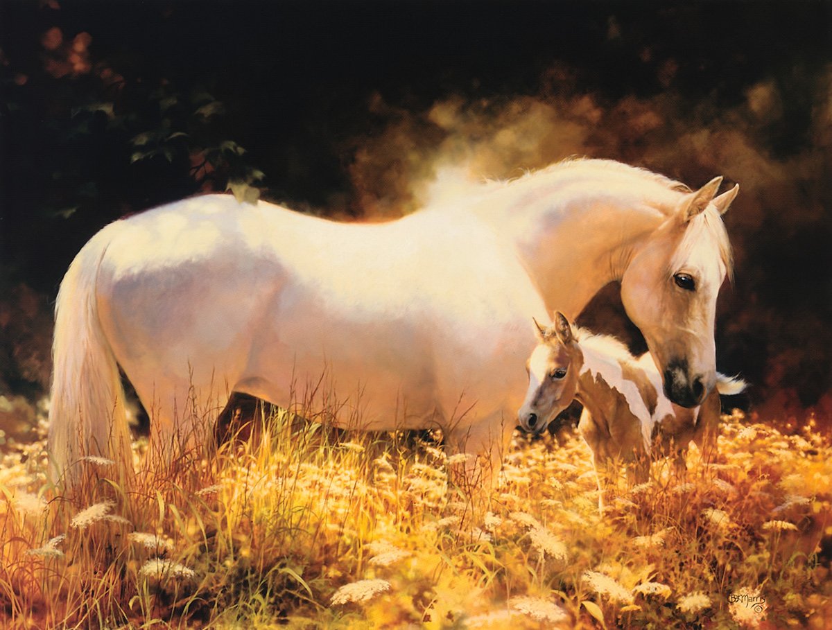 Киргизия лошади