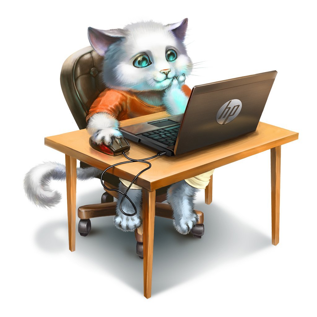 Кот за компьютером