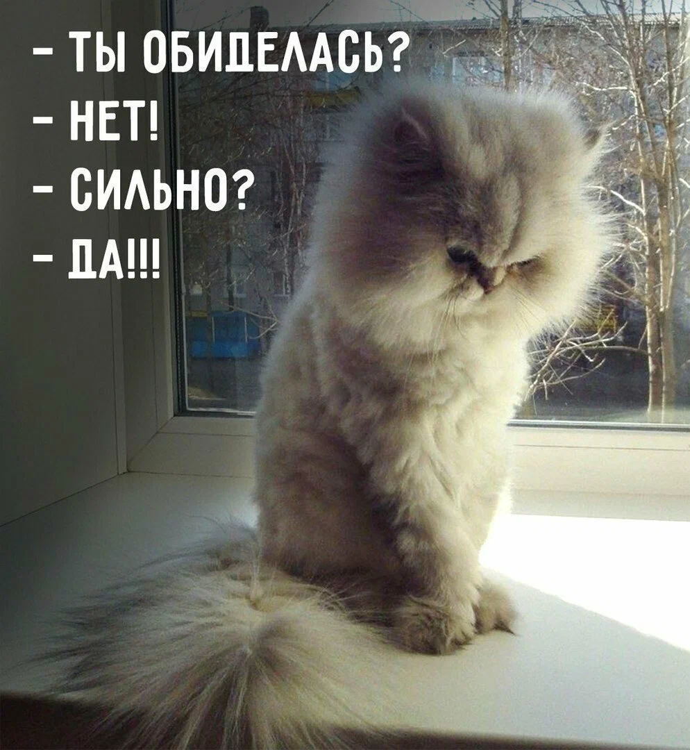 Обиделась нет сильно да